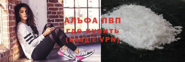 ГАЛЛЮЦИНОГЕННЫЕ ГРИБЫ Инсар