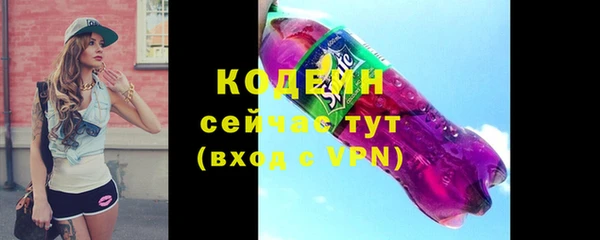 ГАЛЛЮЦИНОГЕННЫЕ ГРИБЫ Нестеровская