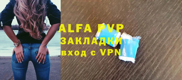 ГАЛЛЮЦИНОГЕННЫЕ ГРИБЫ Инсар