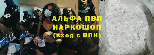 крисы Калининец