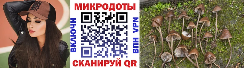где найти наркотики  Мензелинск  Псилоцибиновые грибы прущие грибы 